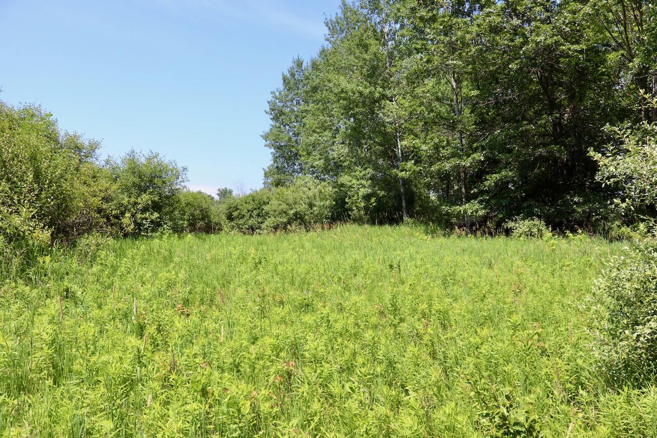 4718 Church Road Six Lakes, MI 48886 - Photo 17 of 76 017