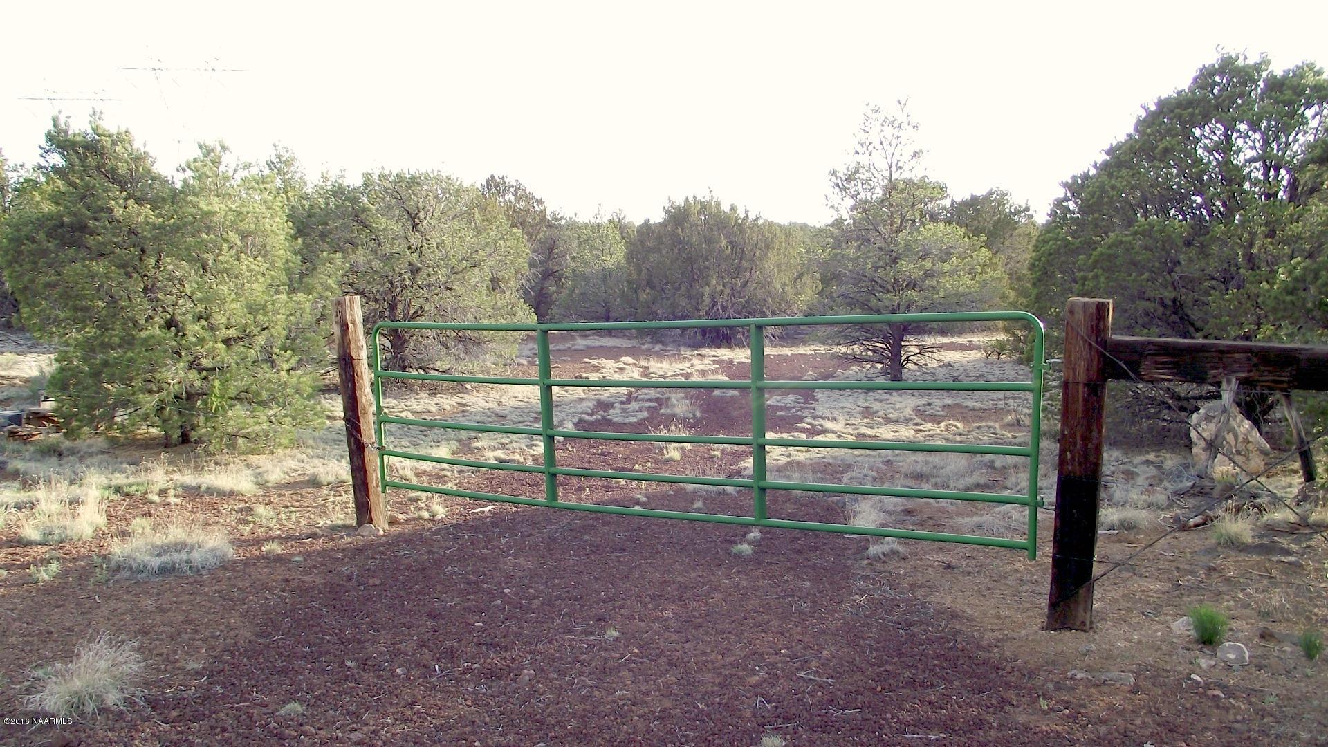 12498 North Chino Road Williams, AZ 86046 - Photo 1 of 28 DSCF8625