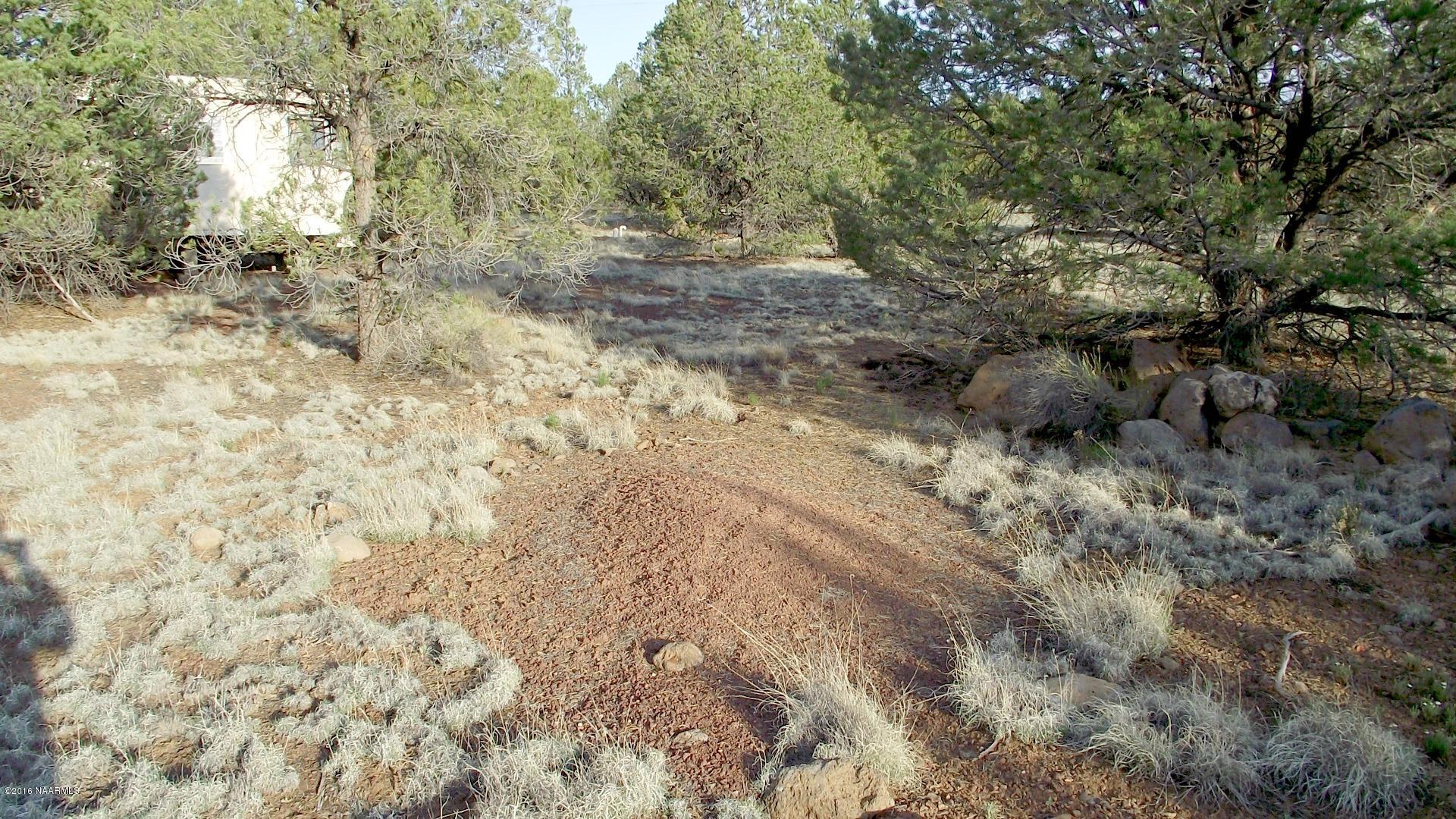 12498 North Chino Road Williams, AZ 86046 - Photo 11 of 28 DSCF8620
