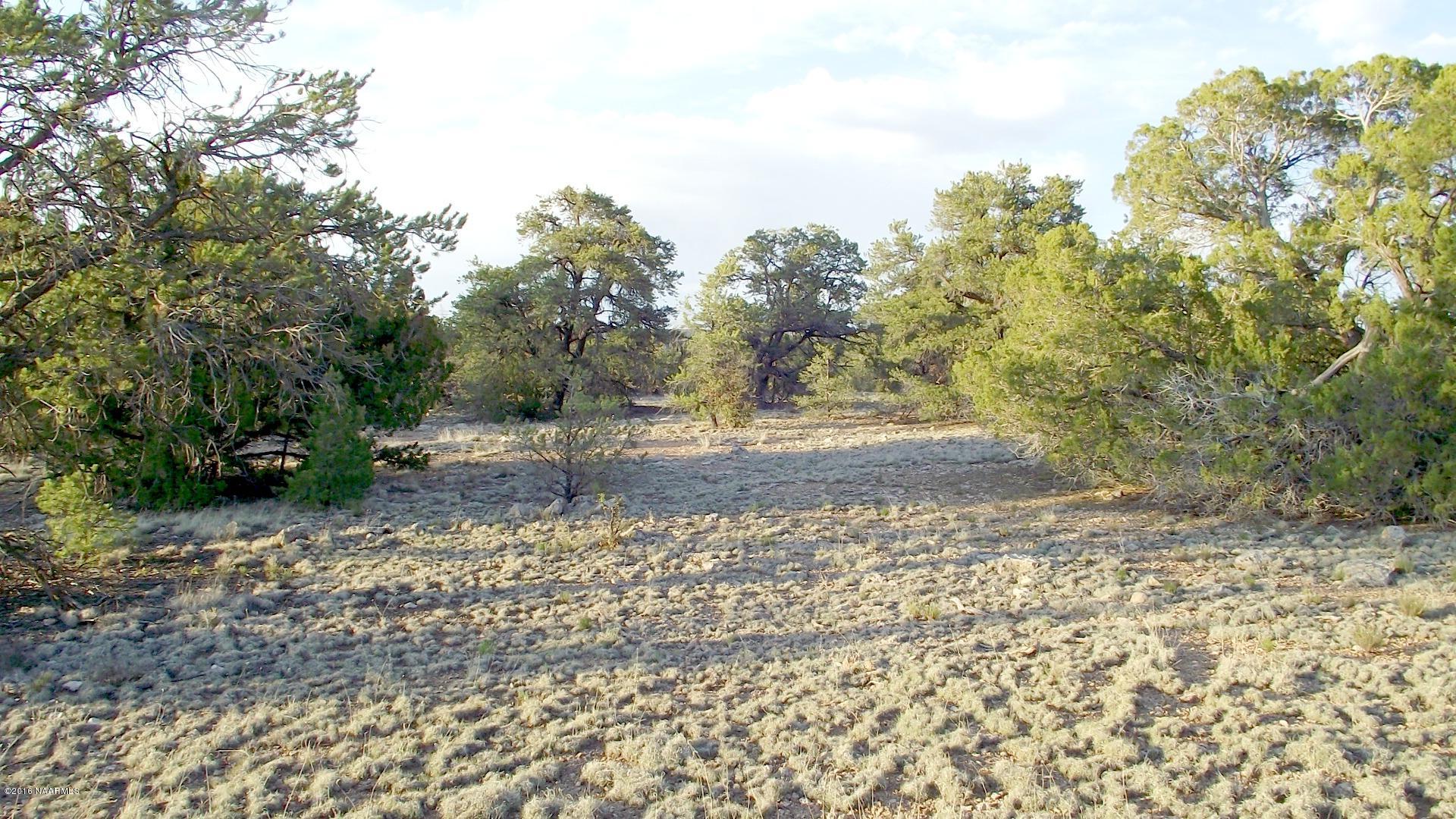 12498 North Chino Road Williams, AZ 86046 - Photo 15 of 28 DSCF8629