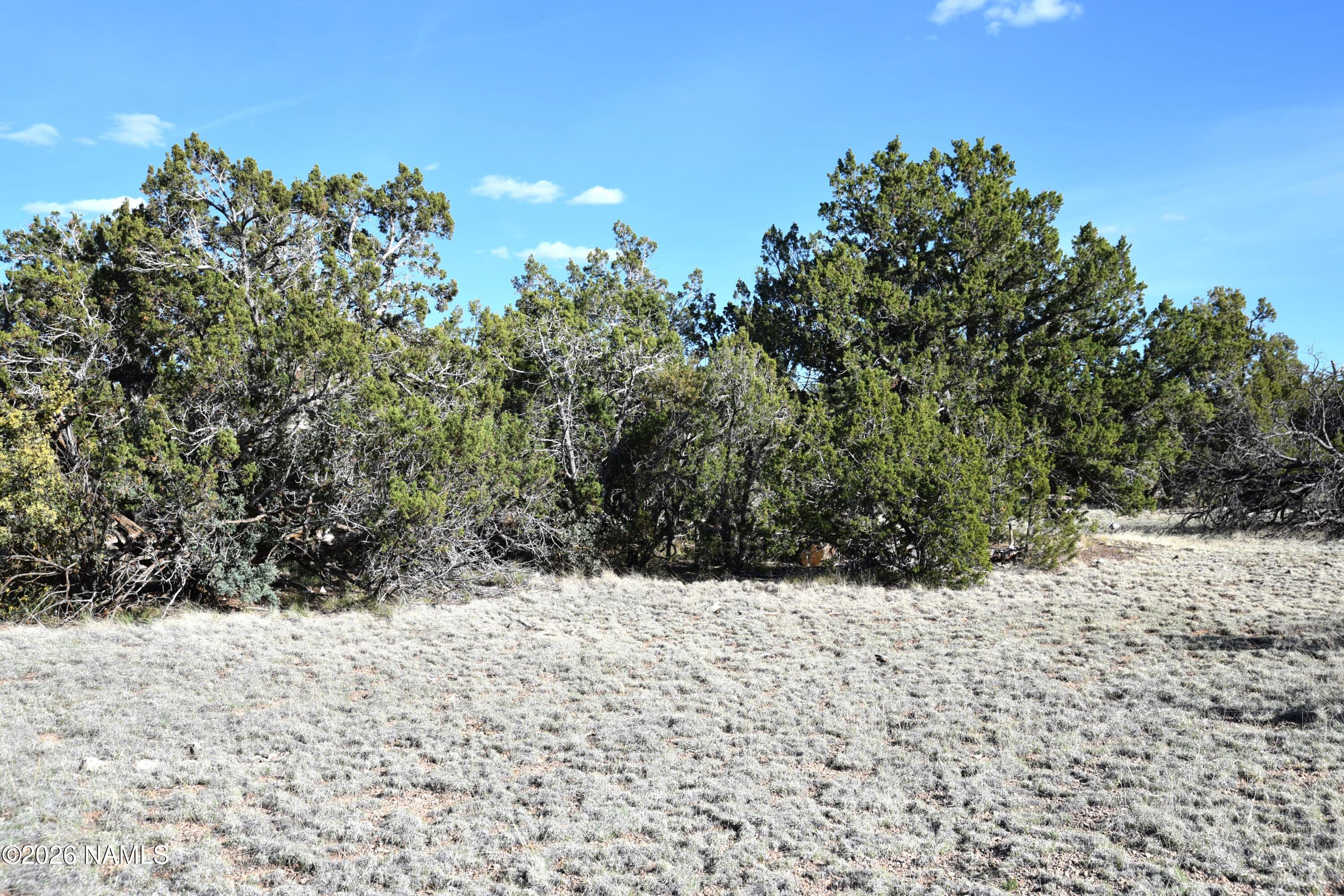 12498 North Chino Road Williams, AZ 86046 - Photo 16 of 28 DSC_5058