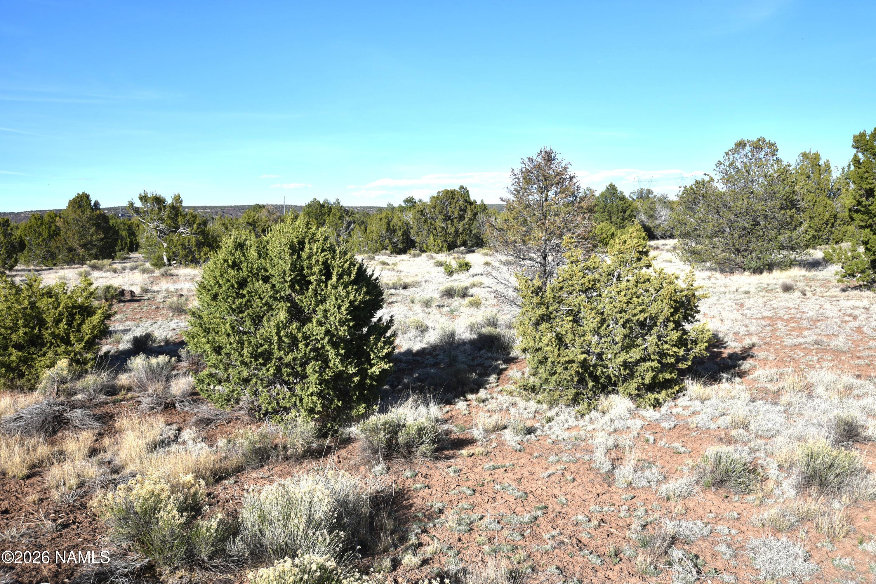 12498 North Chino Road Williams, AZ 86046 - Photo 20 of 28 DSC_5065