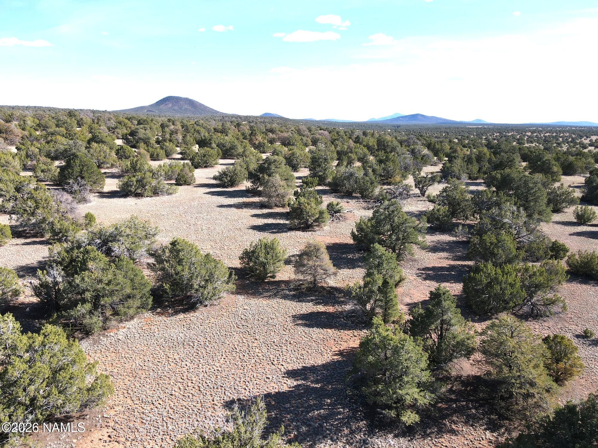 12498 North Chino Road Williams, AZ 86046 - Photo 25 of 28 South 8B78FDD4-8377-4F81-AE8F-B5F7EA1072