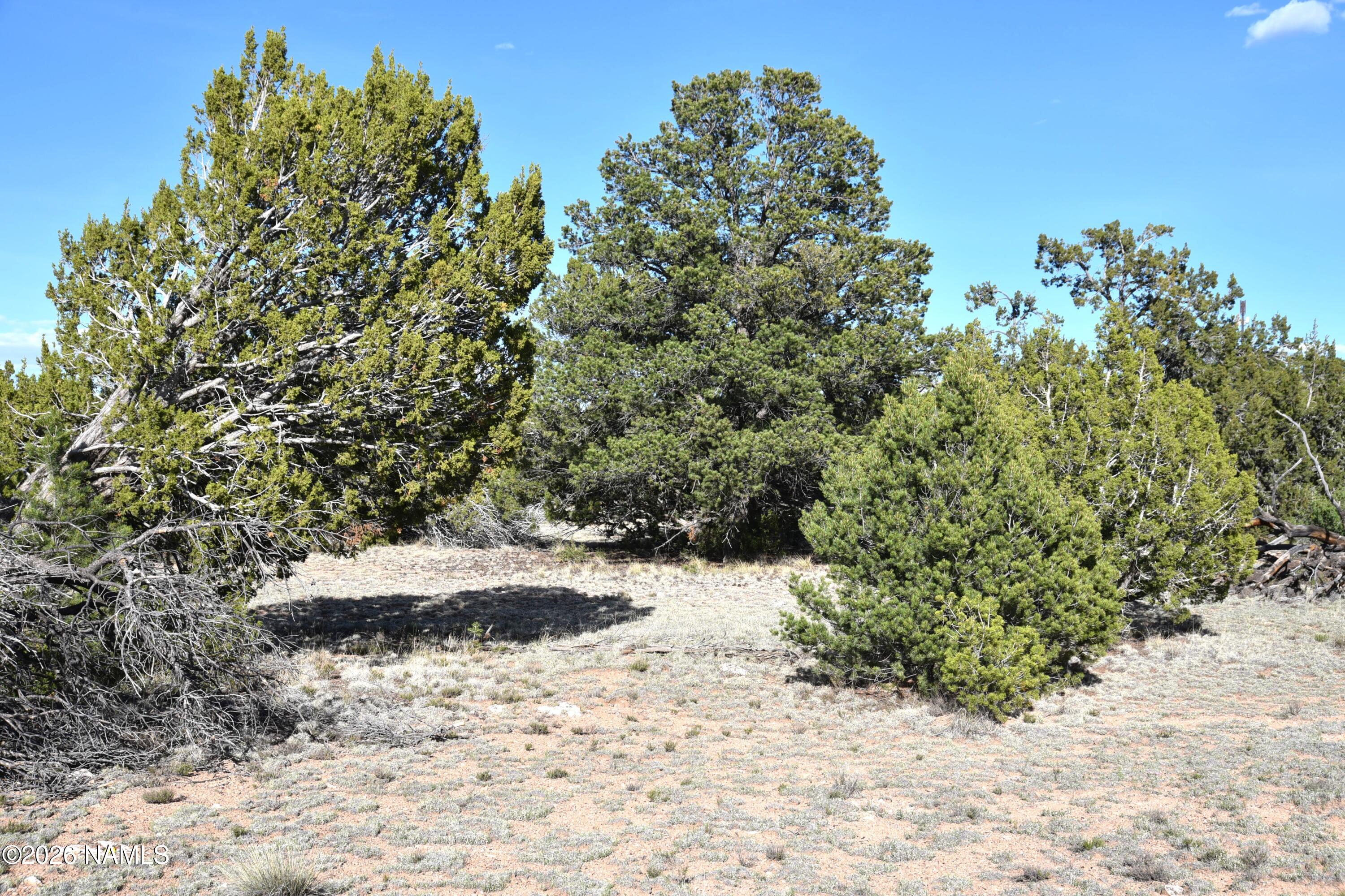 12498 North Chino Road Williams, AZ 86046 - Photo 3 of 28 DSC_5061
