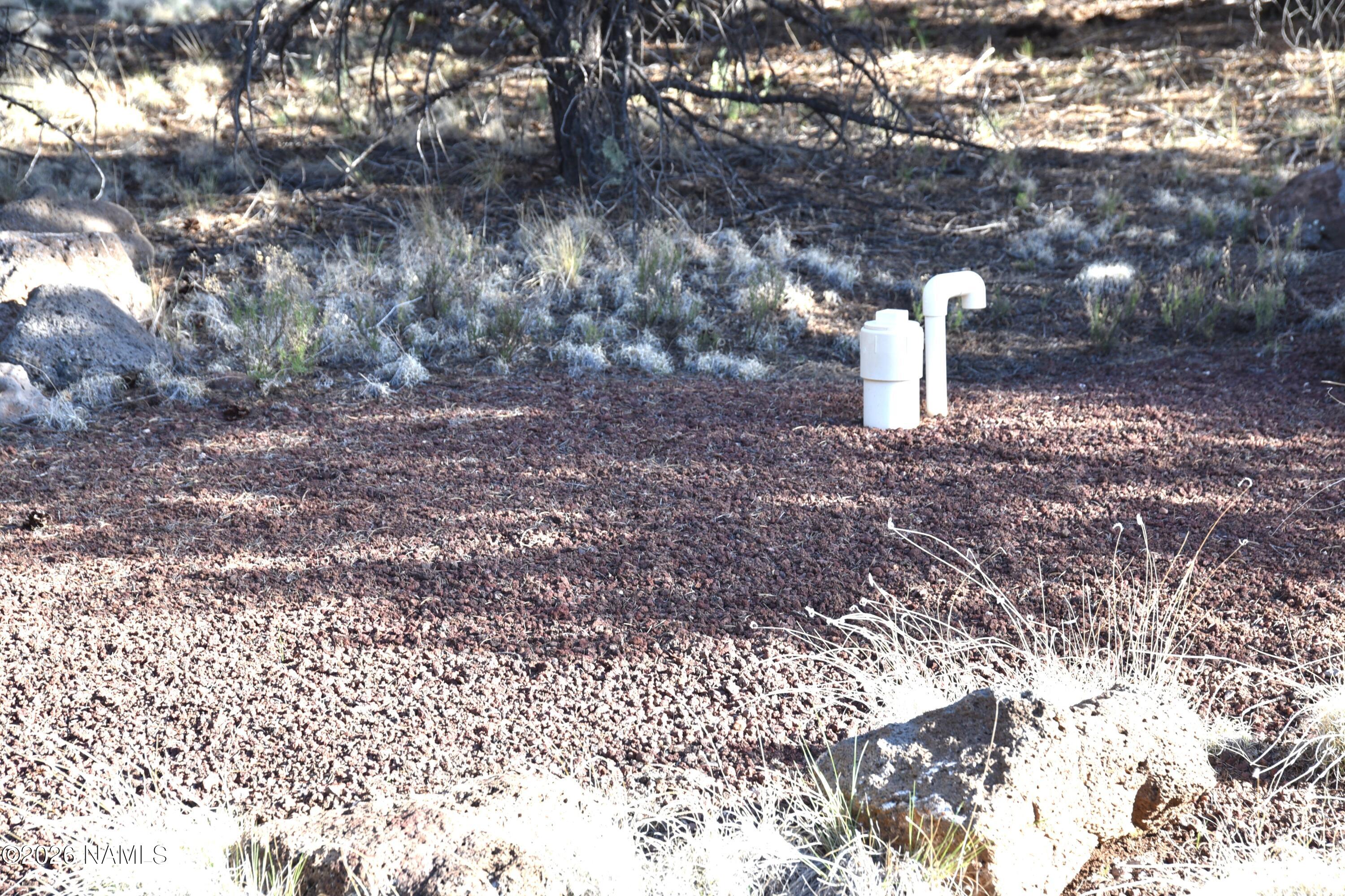 12498 North Chino Road Williams, AZ 86046 - Photo 7 of 28 DSC_5068