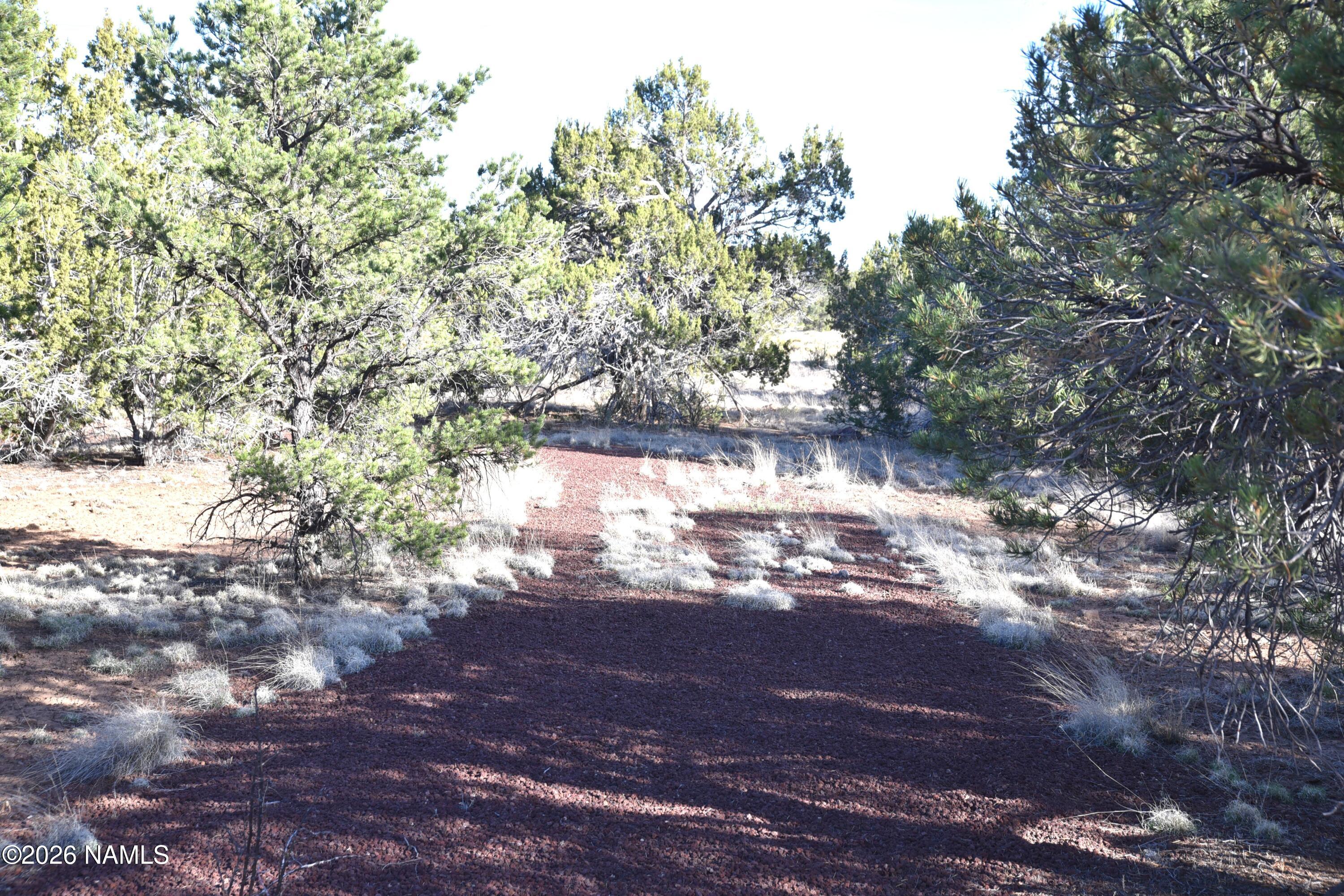 12498 North Chino Road Williams, AZ 86046 - Photo 8 of 28 DSC_5070