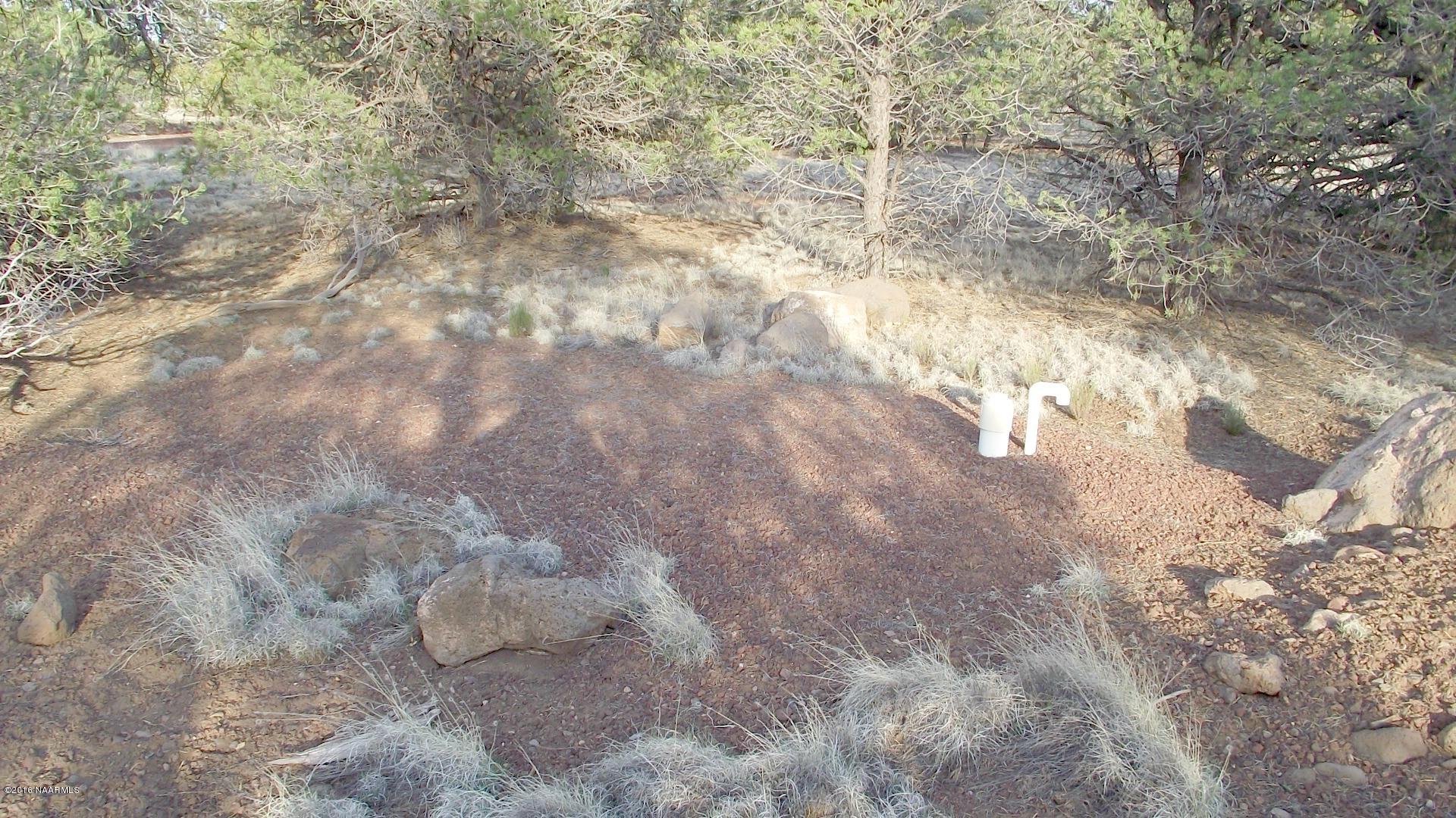 12498 North Chino Road Williams, AZ 86046 - Photo 9 of 28 DSCF8618