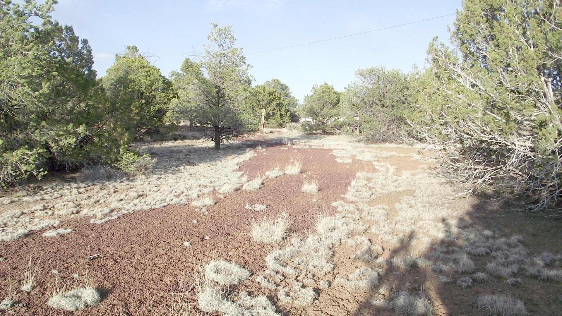 12498 North Chino Road Williams, AZ 86046 - Photo 10 of 28 DSCF8612