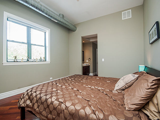 2119 South Halsted Street, Unit 4W Chicago, IL 60608 - Photo 14 of 23