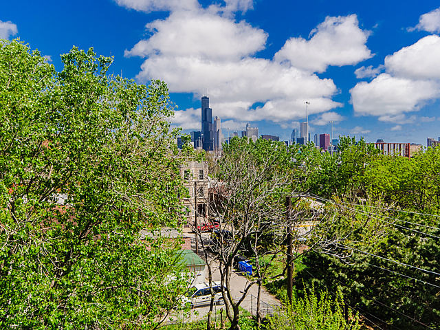 2119 South Halsted Street, Unit 4W Chicago, IL 60608 - Photo 22 of 23