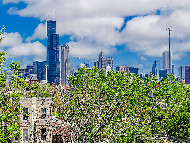 2119 South Halsted Street, Unit 4W Chicago, IL 60608 - Photo 23 of 23