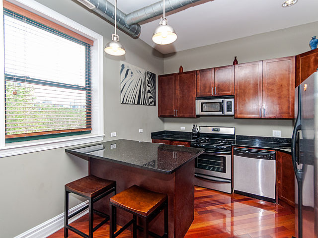 2119 South Halsted Street, Unit 4W Chicago, IL 60608 - Photo 5 of 23