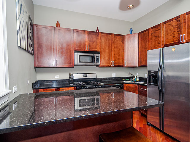 2119 South Halsted Street, Unit 4W Chicago, IL 60608 - Photo 6 of 23