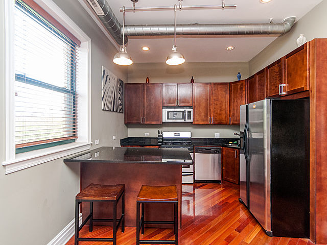 2119 South Halsted Street, Unit 4W Chicago, IL 60608 - Photo 8 of 23