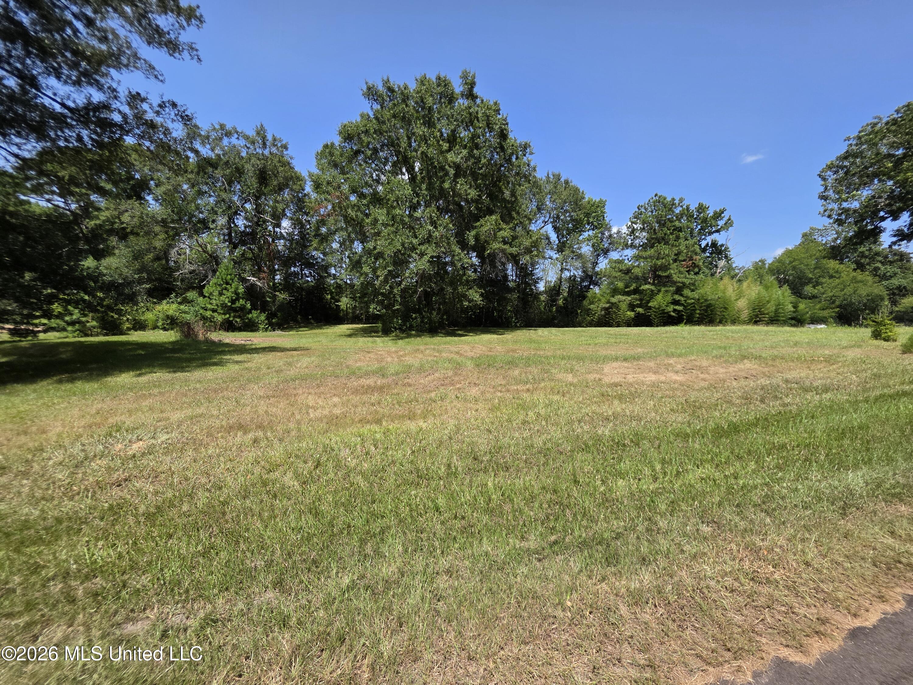 1041 3rd Street Wesson, MS 39191 - Photo 2 of 21 36596