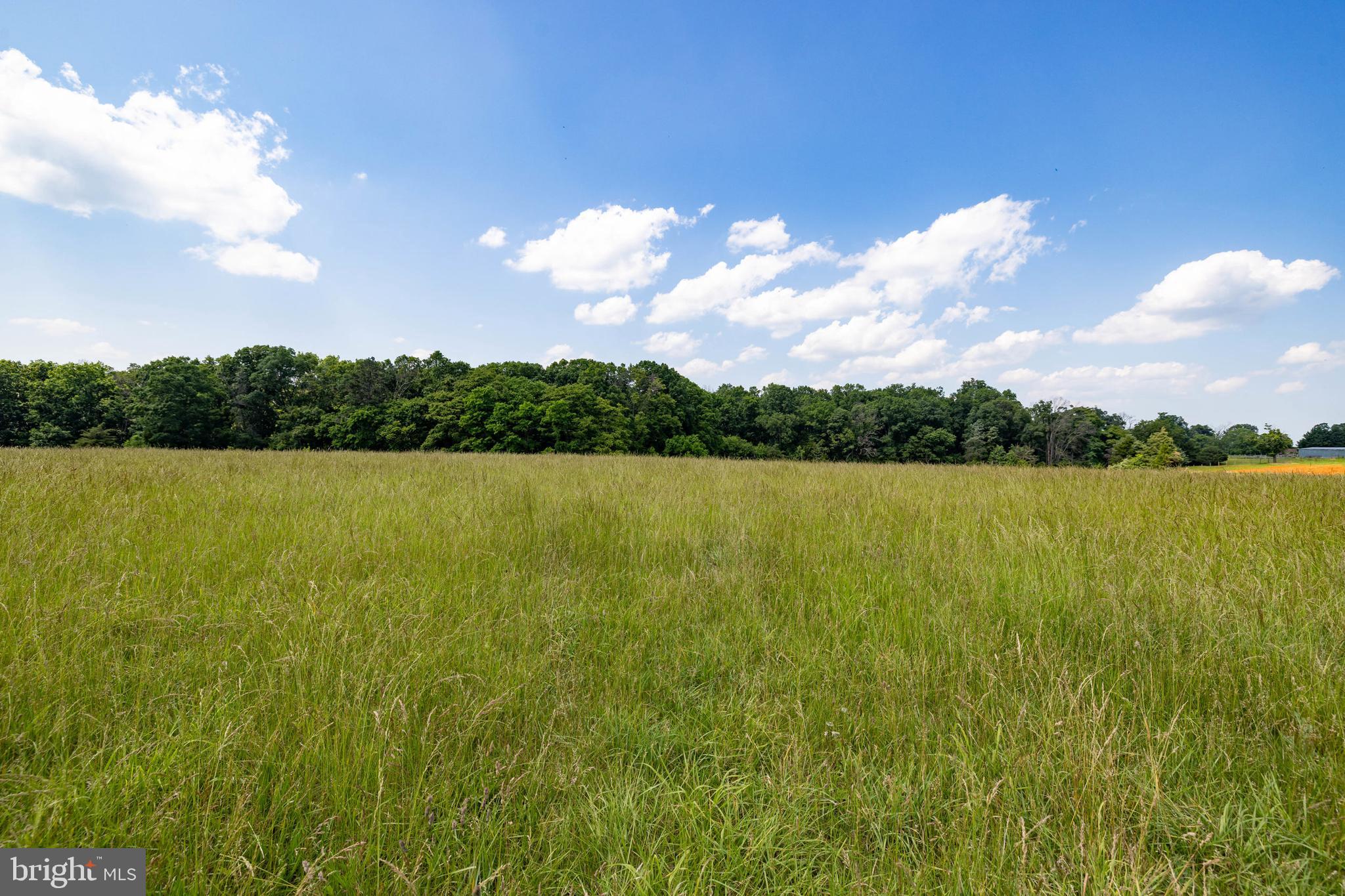Off Sunnyview Drive Rileyville, VA 22650 - Photo 29 of 37