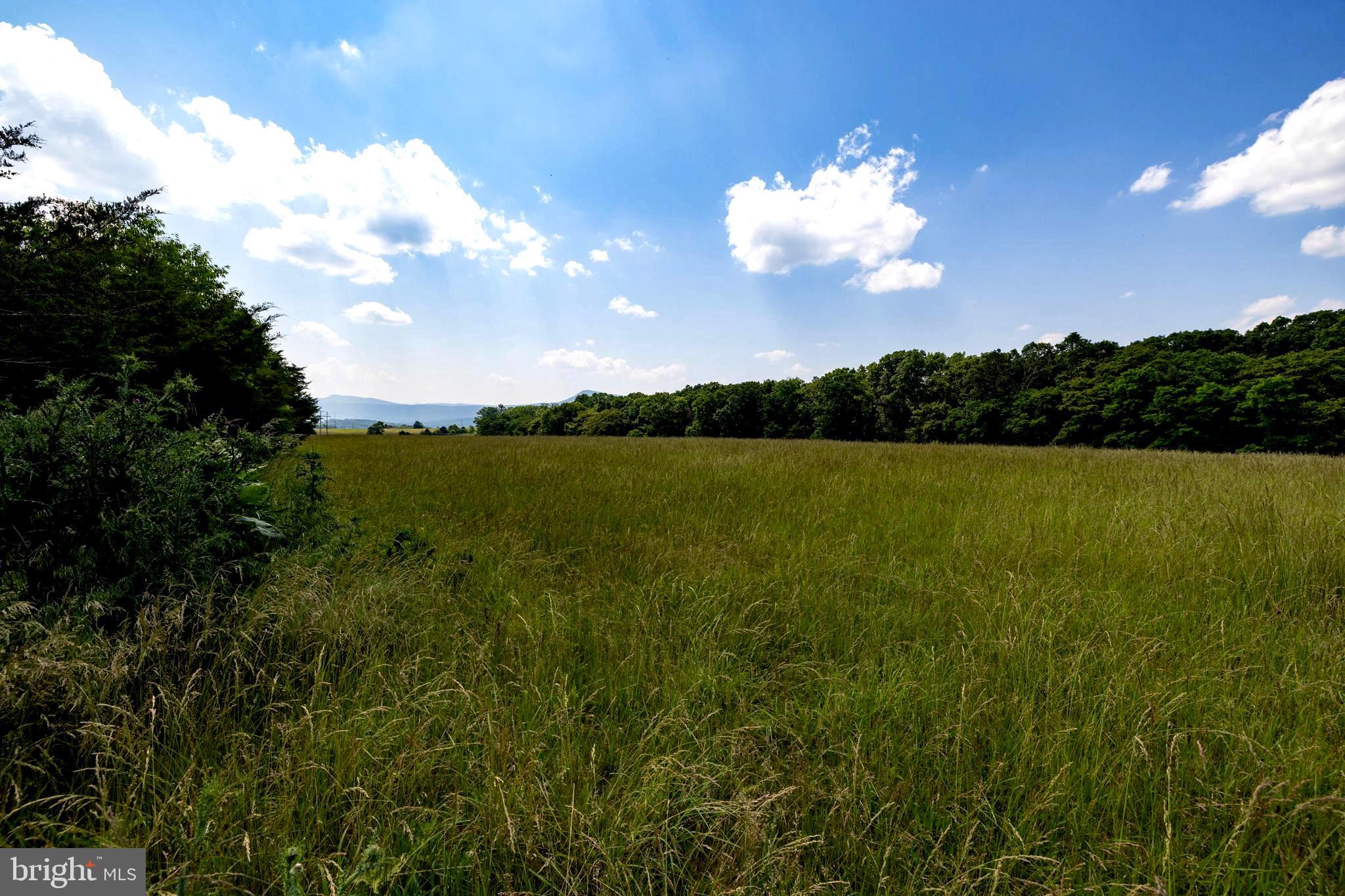 Off Sunnyview Drive Rileyville, VA 22650 - Photo 3 of 37 a view of a lake with a yard