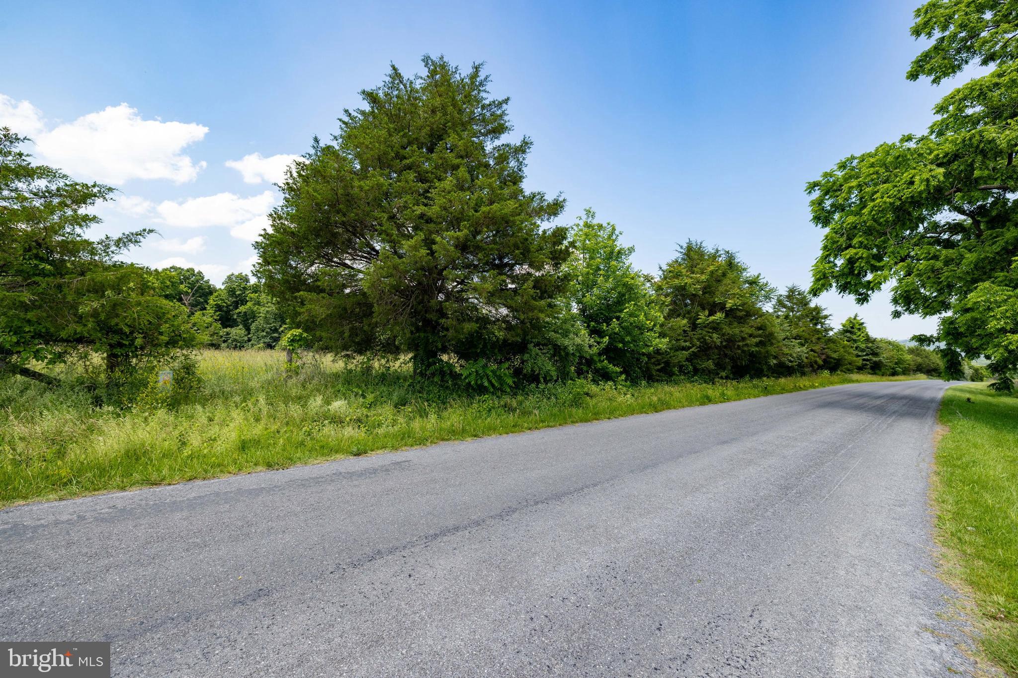 Off Sunnyview Drive Rileyville, VA 22650 - Photo 31 of 37 a view of a lake with a big yard