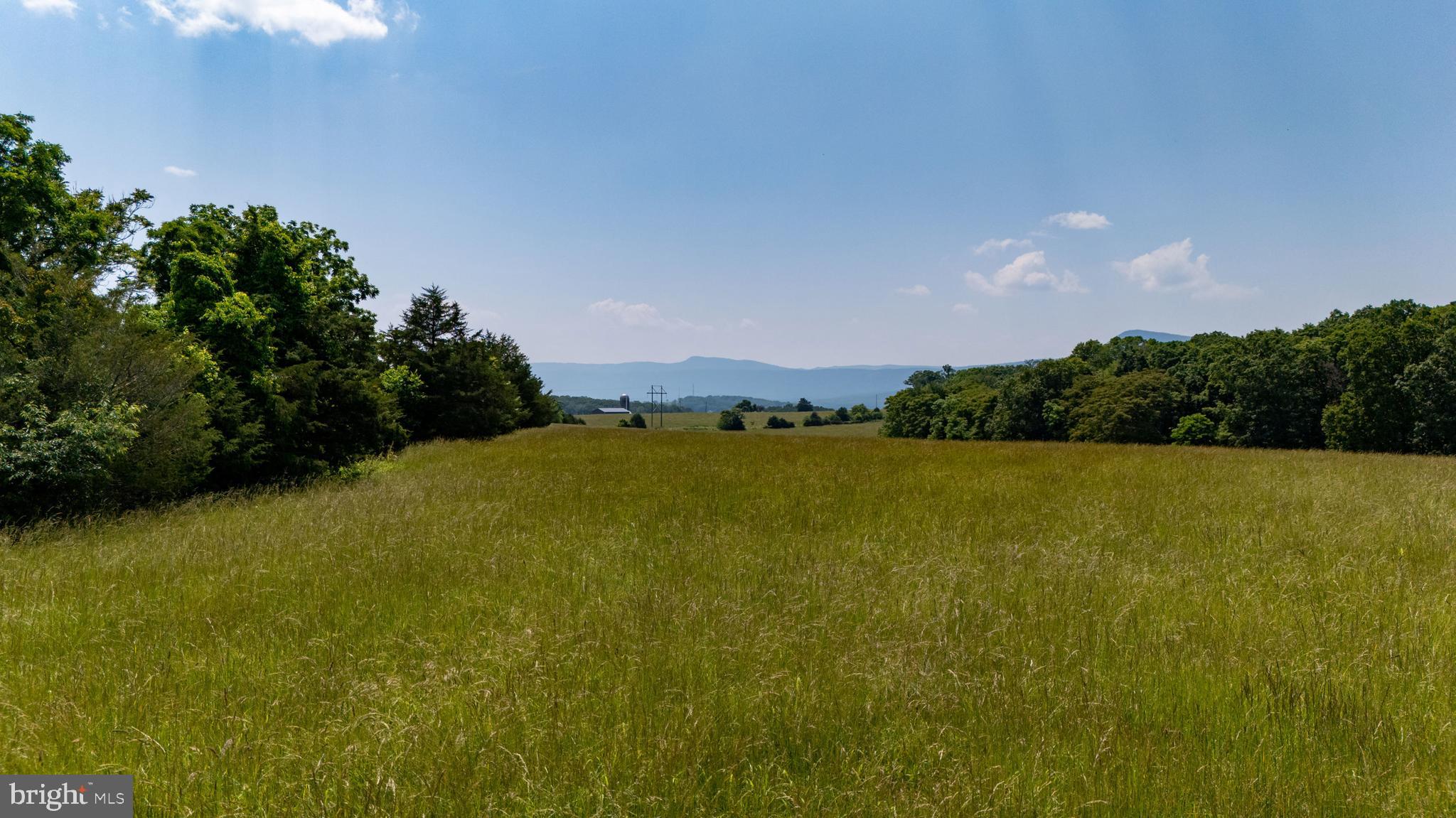 Off Sunnyview Drive Rileyville, VA 22650 - Photo 36 of 37 a view of outdoor space and yard