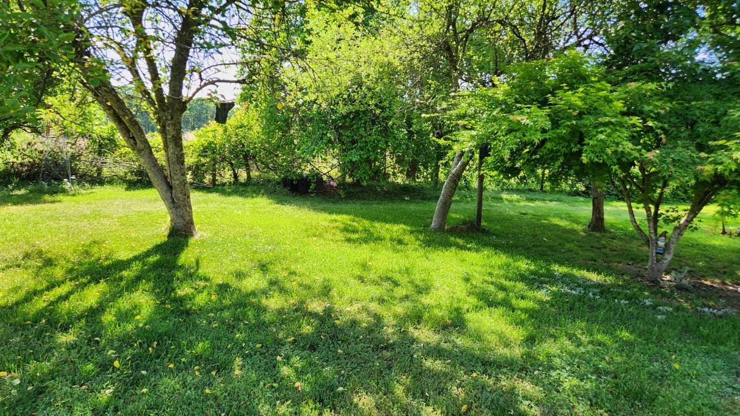 100 Shadowview Drive Roebuck, SC 29376 - Photo 8 of 21