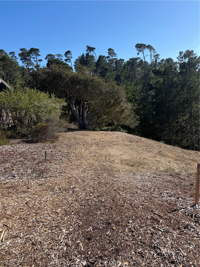 3123 Rogers Road Cambria, CA 93428 - Photo 1 of 2 Gallery Image 1