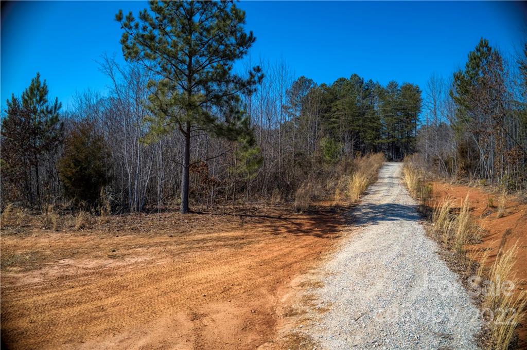 0 Otis Dellinger Road Lincolnton, NC 28092 - Photo 12 of 28 Gallery Image 12