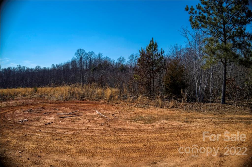 0 Otis Dellinger Road Lincolnton, NC 28092 - Photo 13 of 28 Gallery Image 13