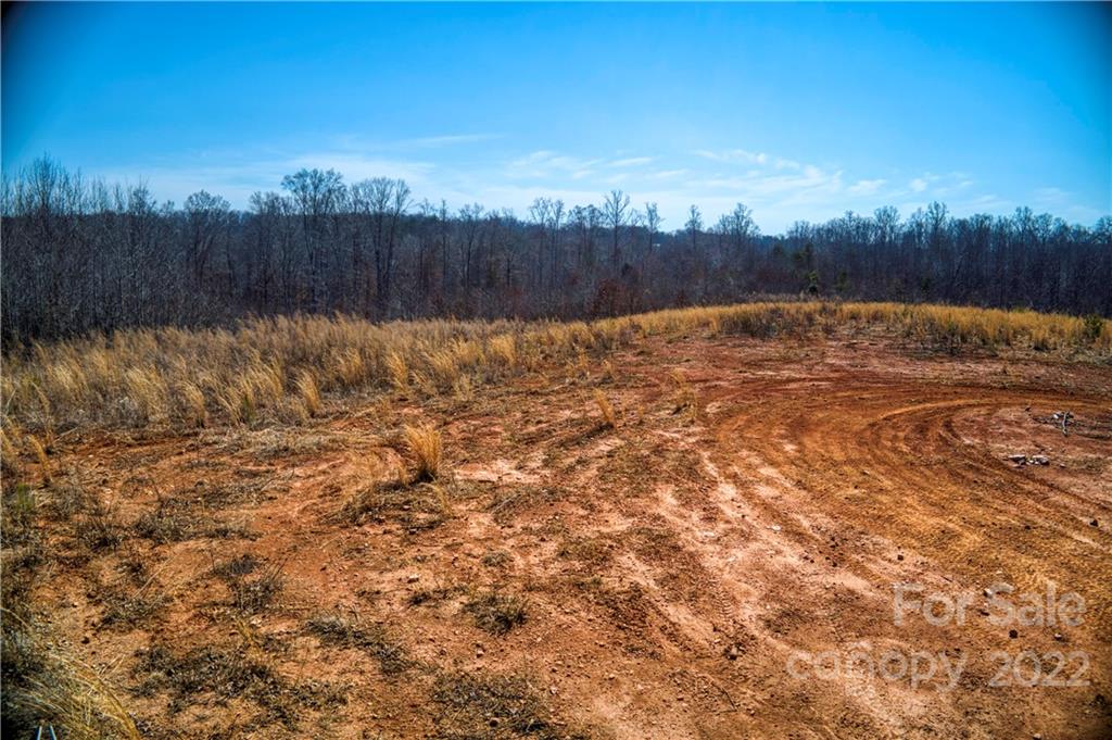 0 Otis Dellinger Road Lincolnton, NC 28092 - Photo 14 of 28 Gallery Image 14
