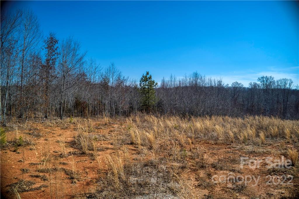 0 Otis Dellinger Road Lincolnton, NC 28092 - Photo 15 of 28 Gallery Image 15