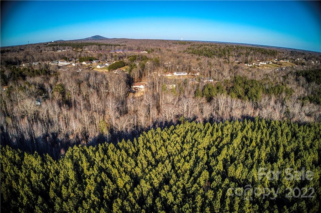0 Otis Dellinger Road Lincolnton, NC 28092 - Photo 6 of 28 Gallery Image 6