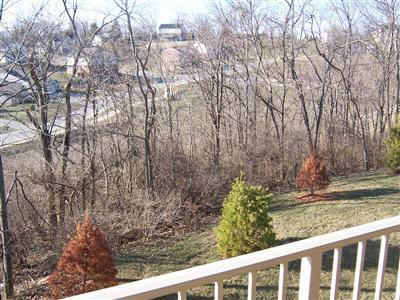796 Flint Ridge Newport, KY 41076 - Photo 12 of 13