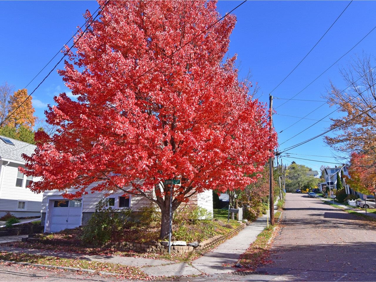 34 Hoover Street Burlington, VT 05401 - Photo 48 of 49