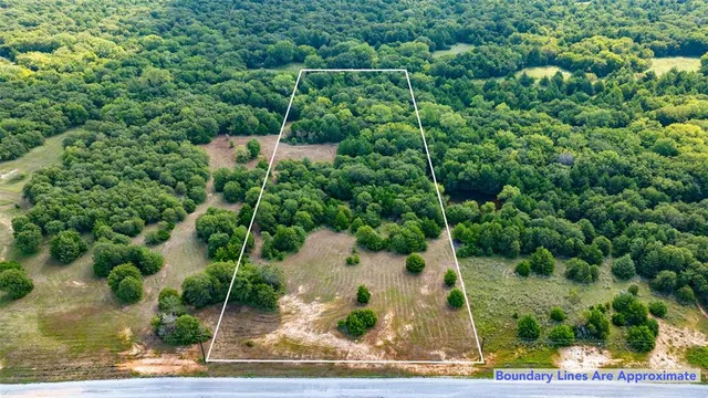 a view of a park with large trees