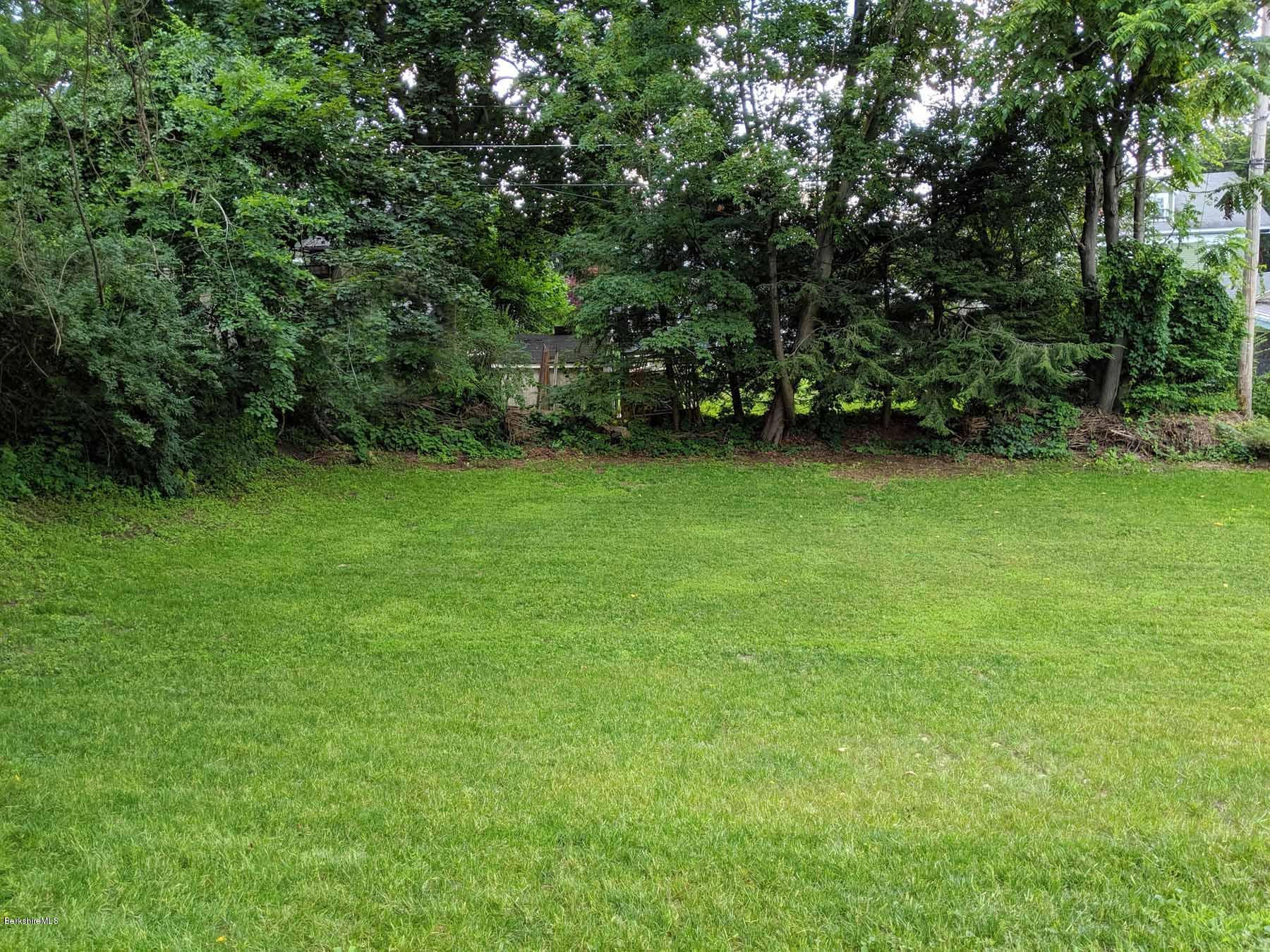 22 Northumberland Road Pittsfield, MA 01201 - Photo 17 of 18 17 backyard