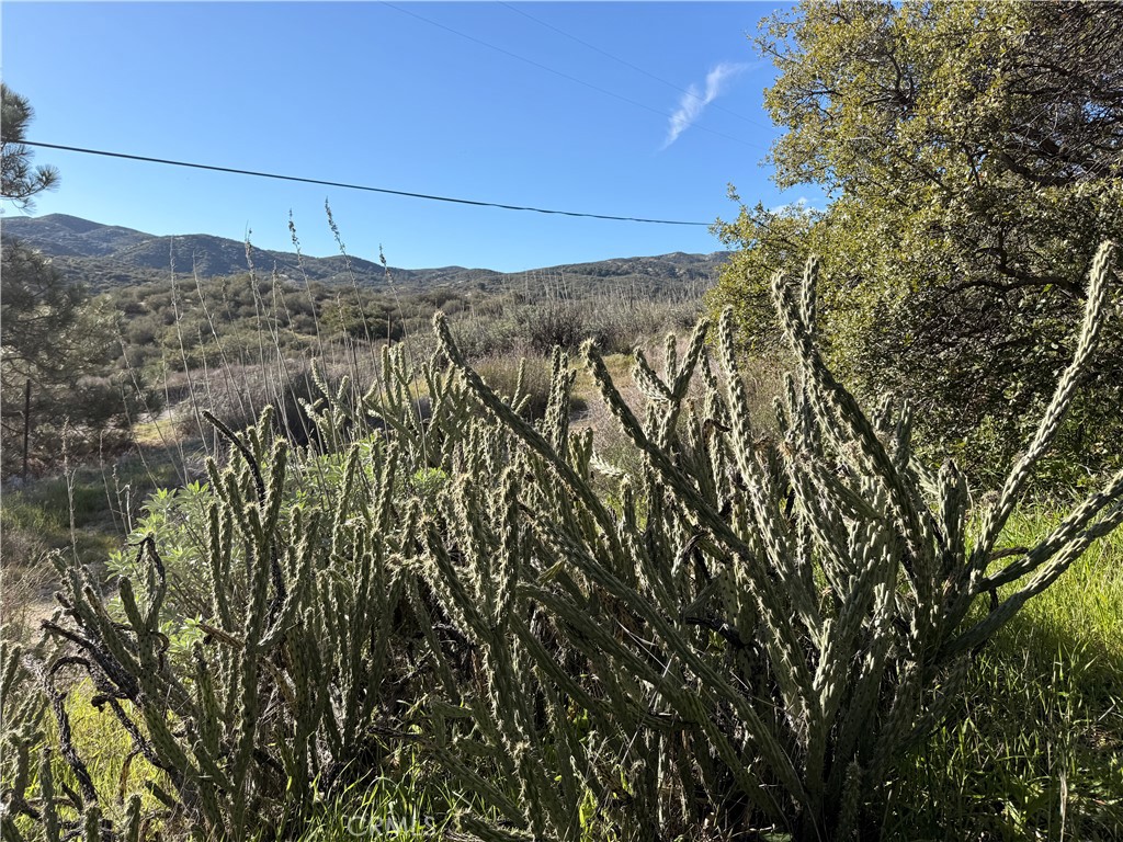 28013 San Felipe Road Warner Springs, CA 92086 - Photo 18 of 24 a view of a mountain