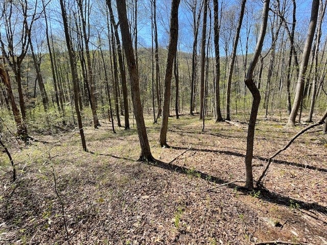 0 Coles Valley Road Robertsdale, PA 16674 - Photo 8 of 13 Gallery Image 8