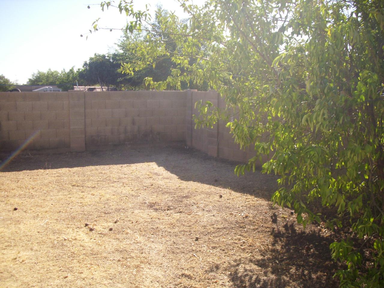 701 East Appaloosa Road Gilbert, AZ 85296 - Photo 8 of 9 BKYD