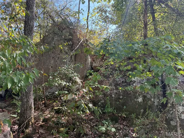 $695,000 | 1030 Madison 9568, Fredericktown, MO 63645