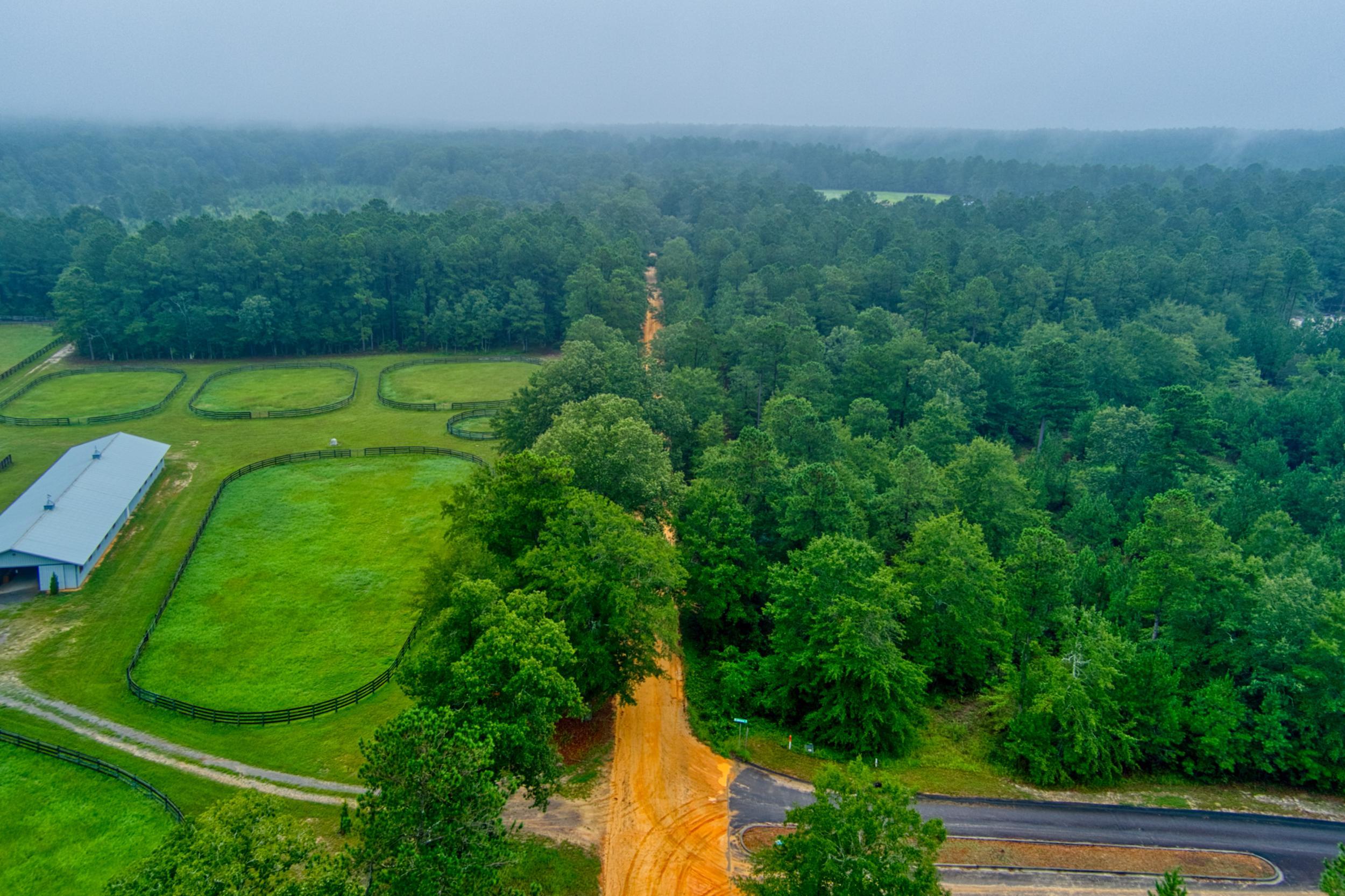 Lot 5 Cooks Pond Road Windsor, SC 29856 - Photo 6 of 23