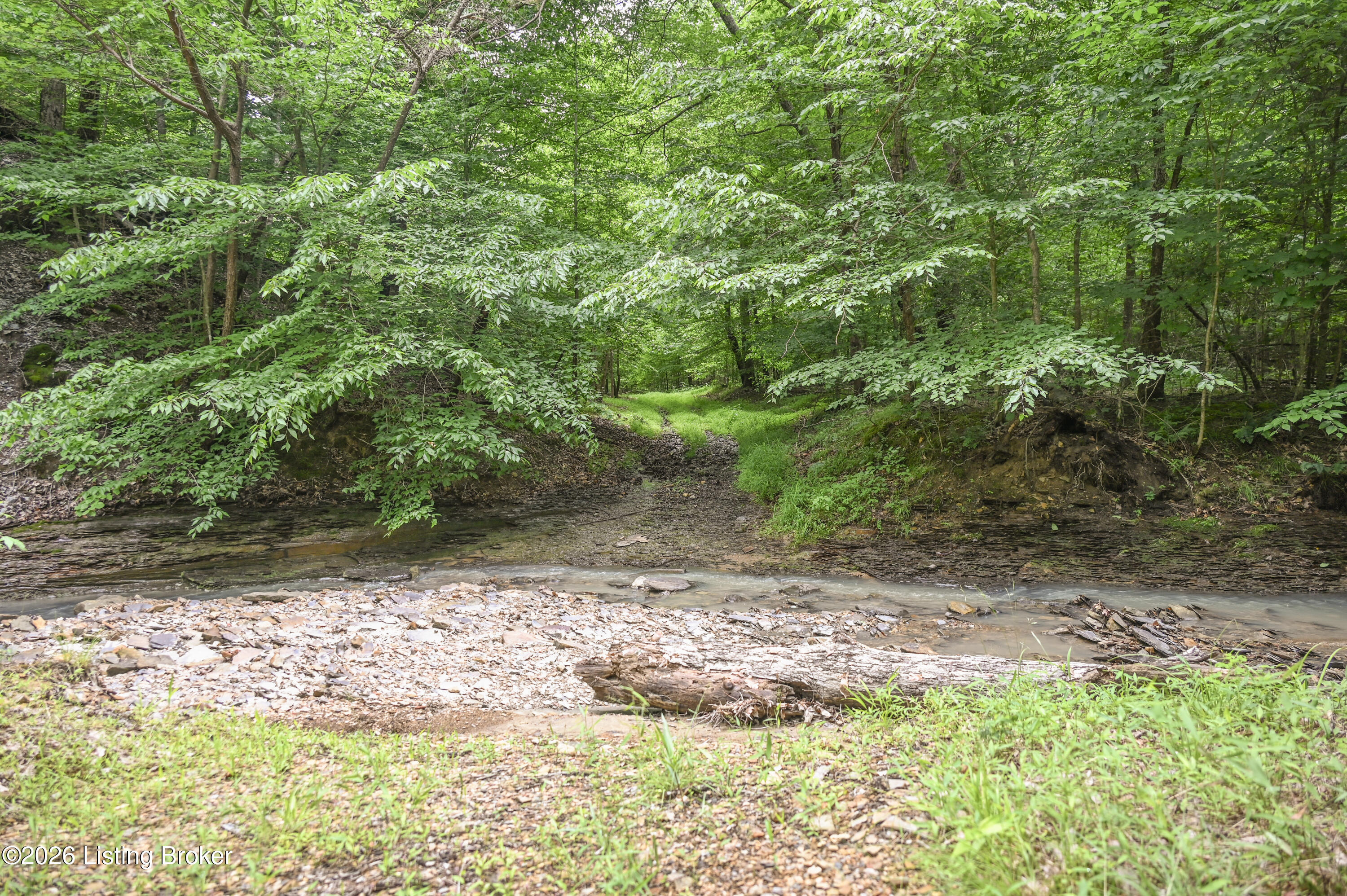 4837 Nat Rogers Road Boston, KY 40107 - Photo 46 of 94 18-DSC_1791