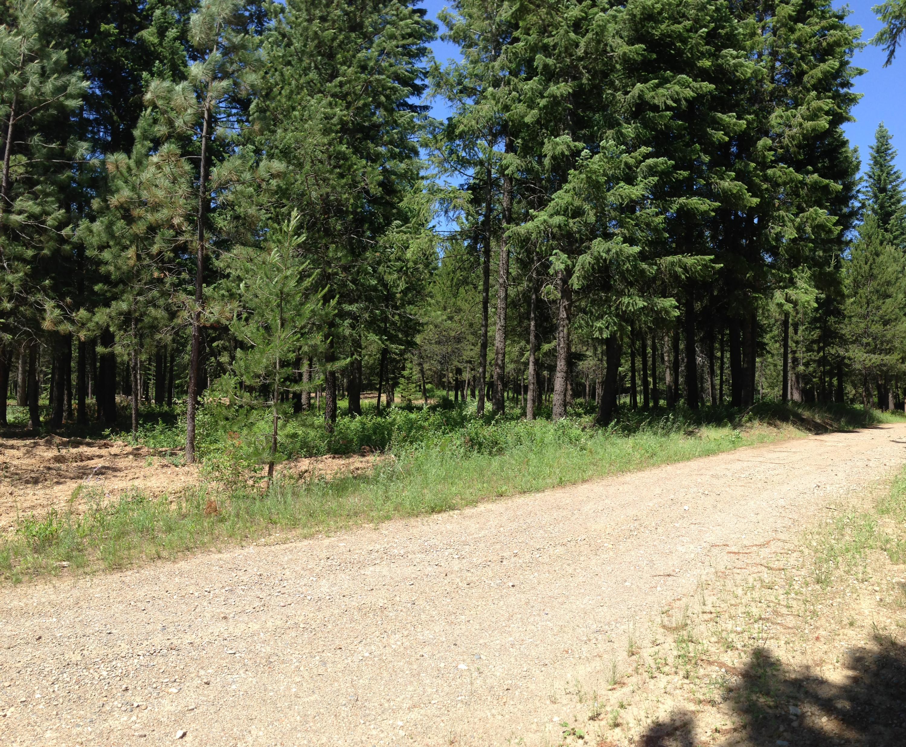 54 Highway 54 Athol, ID 83801 - Photo 1 of 1 Hwy 54 View 1