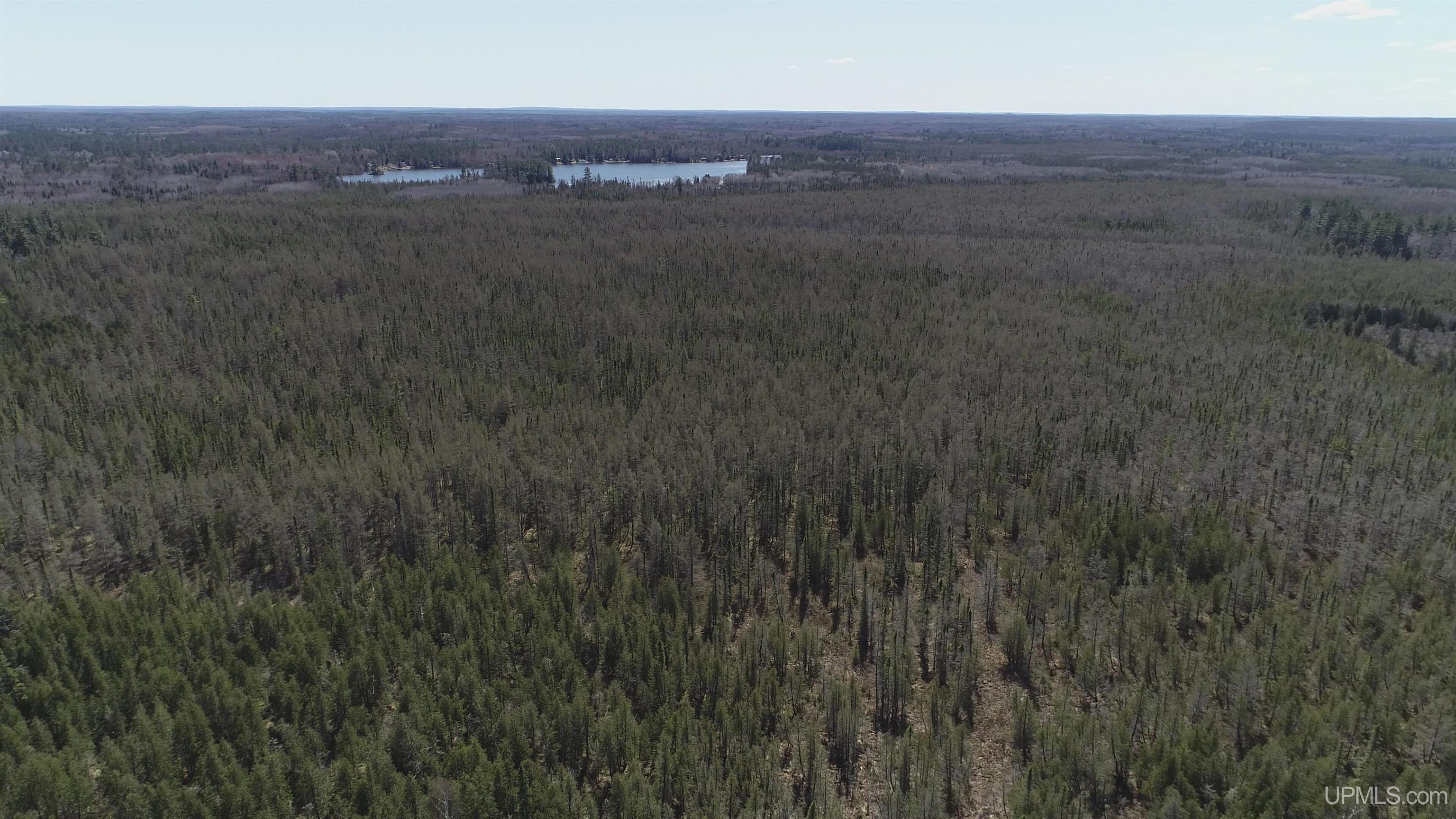 252-acres 252-acres Helen Lake Road Ishpeming, MI 49849 - Photo 11 of 11