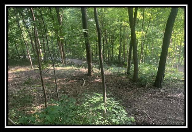 0 Potts Hill Road, Unit TRACT 3) Bainbridge, OH 45612 - Photo 7 of 27 image007