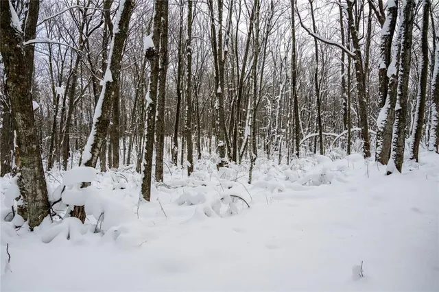 $733,780 | 4 Comet Road, Birchwood, WI 54817