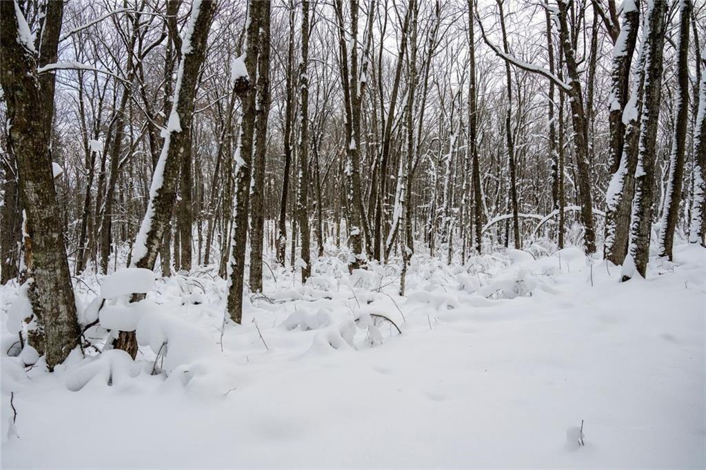 4 Comet Road Birchwood, WI 54817 - Photo 11 of 26