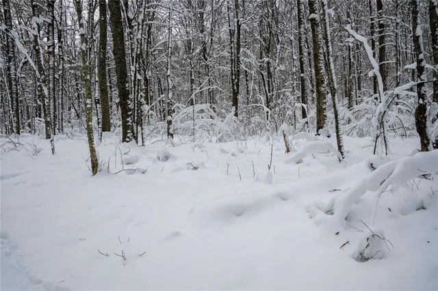 $733,780 | 4 Comet Road, Birchwood, WI 54817