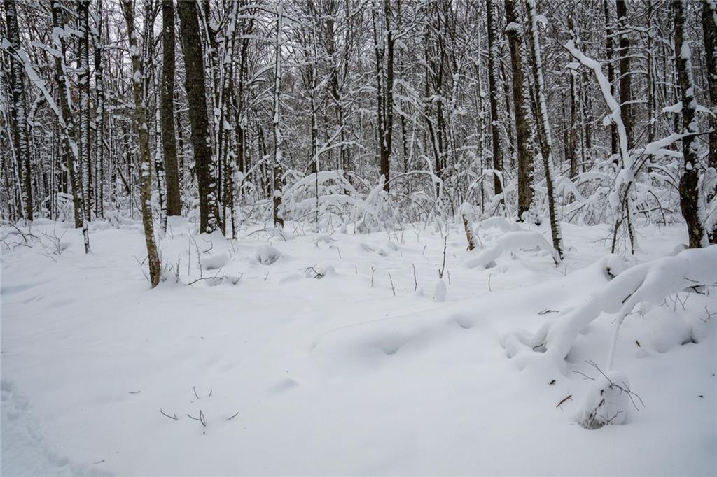 4 Comet Road Birchwood, WI 54817 - Photo 13 of 27