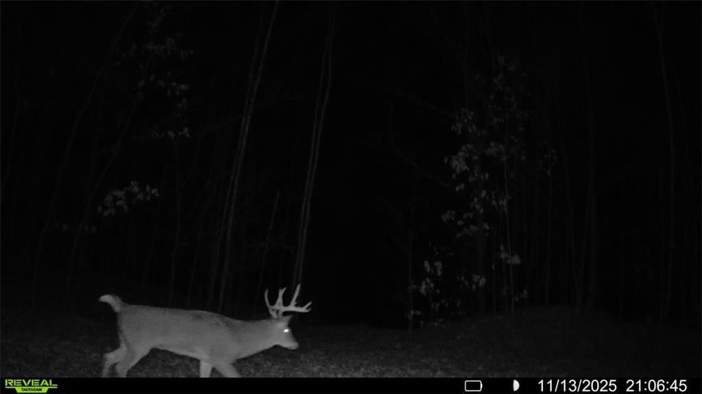 4 Comet Road Birchwood, WI 54817 - Photo 23 of 27