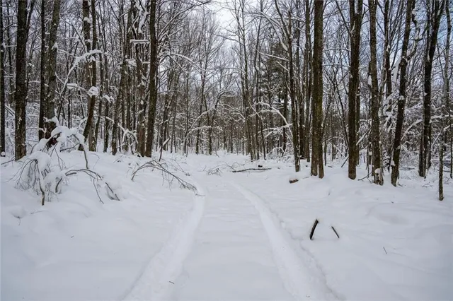 $733,780 | 4 Comet Road, Birchwood, WI 54817