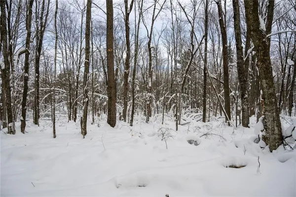 $733,780 | 4 Comet Road, Birchwood, WI 54817